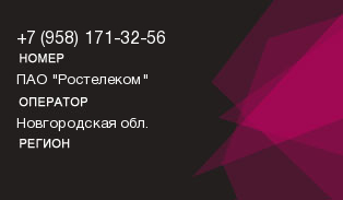 9581713256